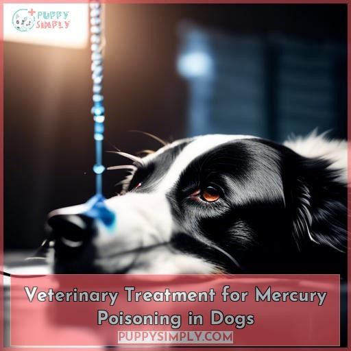 Veterinary Treatment for Mercury Poisoning in Dogs