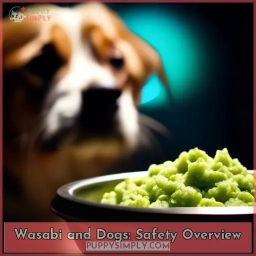 Wasabi and Dogs: Safety Overview