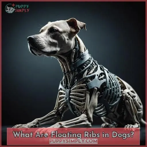 What Are Floating Ribs in Dogs