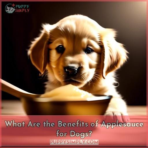 What Are the Benefits of Applesauce for Dogs