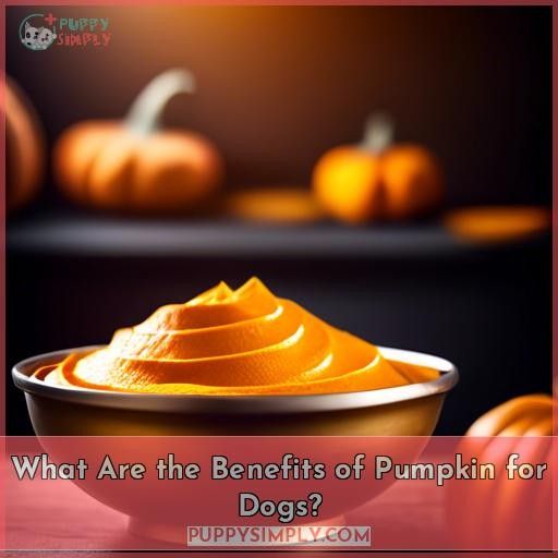 What Are the Benefits of Pumpkin for Dogs