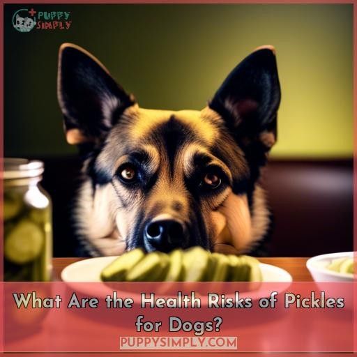 What Are the Health Risks of Pickles for Dogs