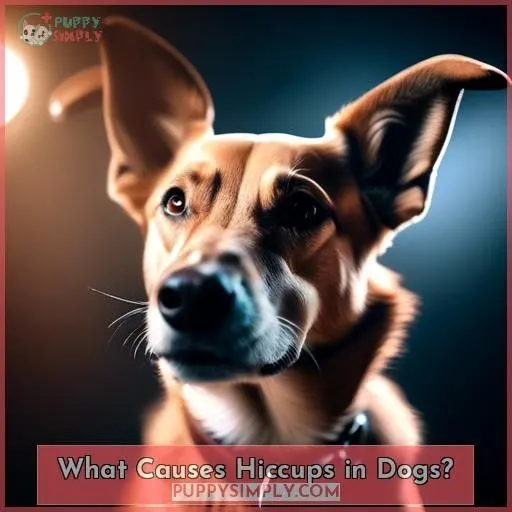 What Causes Hiccups in Dogs