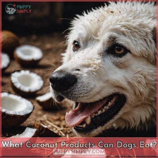 What Coconut Products Can Dogs Eat