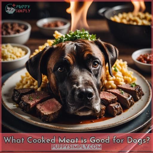 What Cooked Meat is Good for Dogs