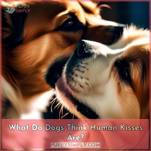 What Do Dogs Think Human Kisses Are