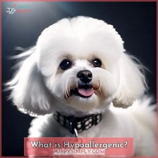 What is Hypoallergenic