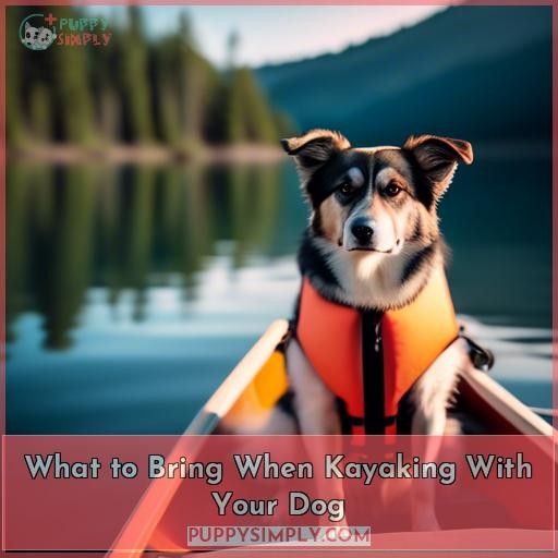 What to Bring When Kayaking With Your Dog