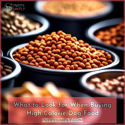 What to Look for When Buying High-Calorie Dog Food