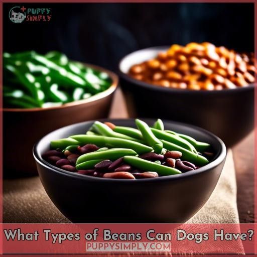 What Types of Beans Can Dogs Have
