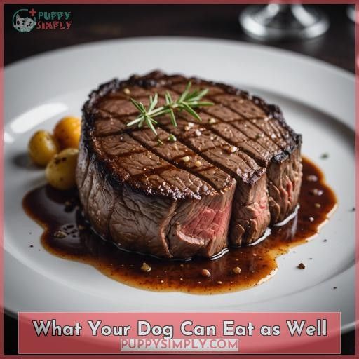 What Your Dog Can Eat as Well
