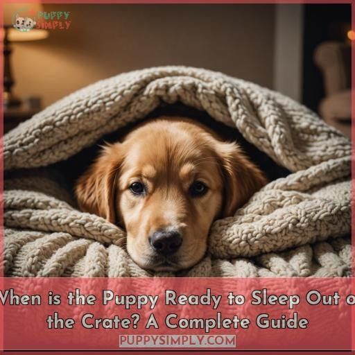when is the puppy ready to sleep out of the crate when is the puppy ready to sleep out of the crate