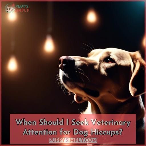 When Should I Seek Veterinary Attention for Dog Hiccups