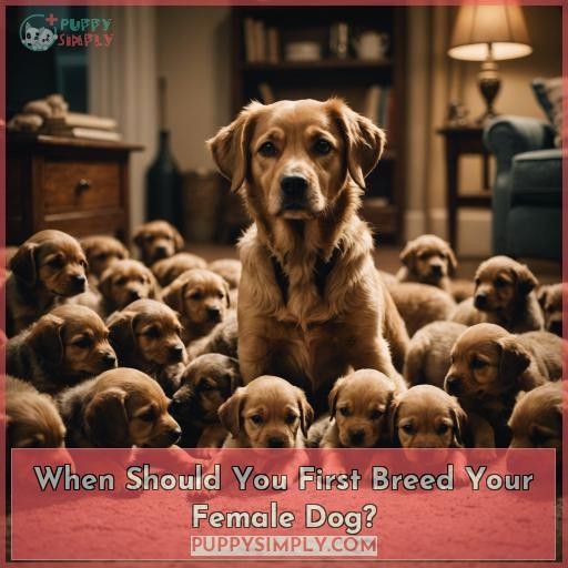 When Should You First Breed Your Female Dog