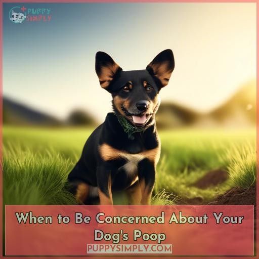 When to Be Concerned About Your Dog