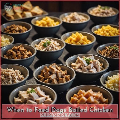When to Feed Dogs Boiled Chicken