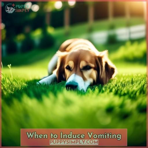When to Induce Vomiting