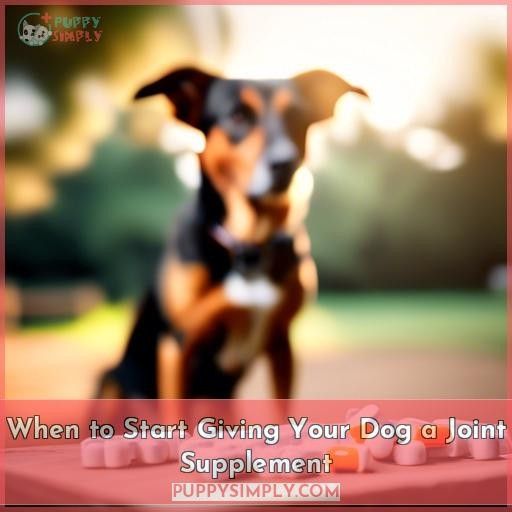 When to Start Giving Your Dog a Joint Supplement