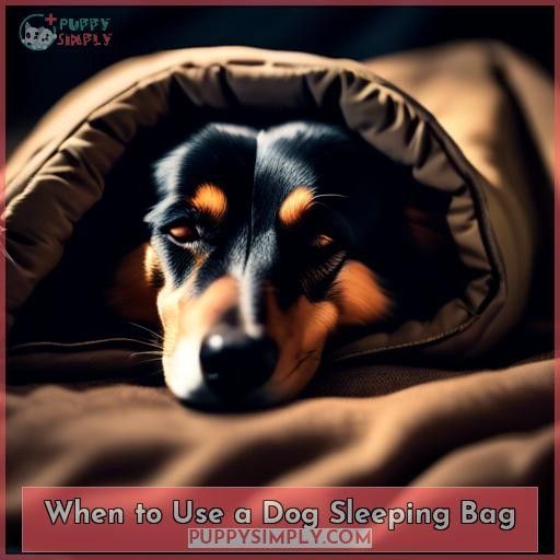 When to Use a Dog Sleeping Bag