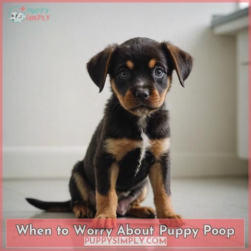 When to Worry About Puppy Poop