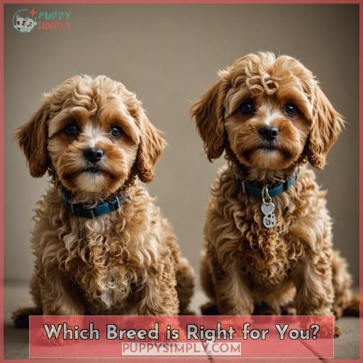 Which Breed is Right for You