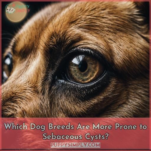 Which Dog Breeds Are More Prone to Sebaceous Cysts