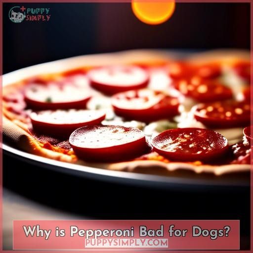 Why is Pepperoni Bad for Dogs