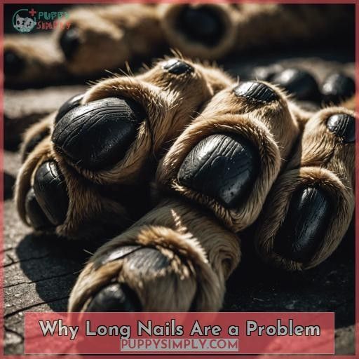 Why Long Nails Are a Problem