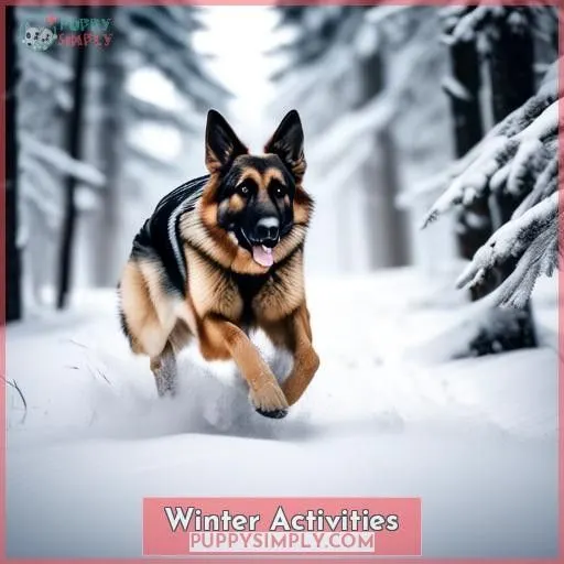 Winter Activities