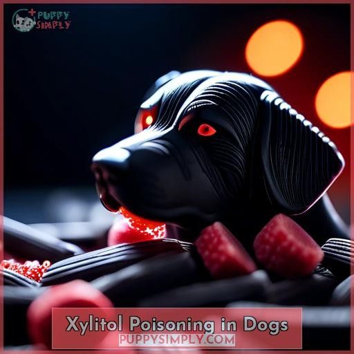 Xylitol Poisoning in Dogs