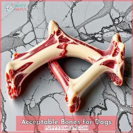 Acceptable Bones for Dogs