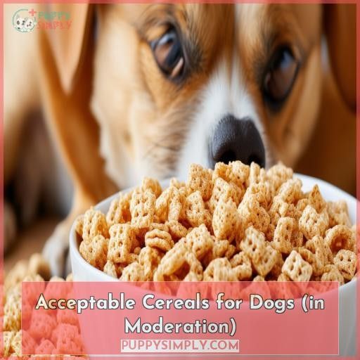 Acceptable Cereals for Dogs (in Moderation)
