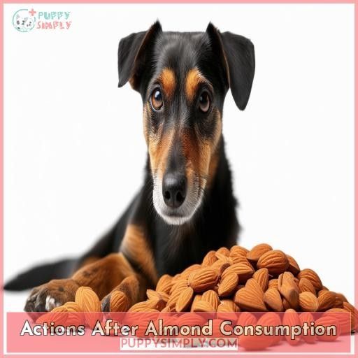Actions After Almond Consumption