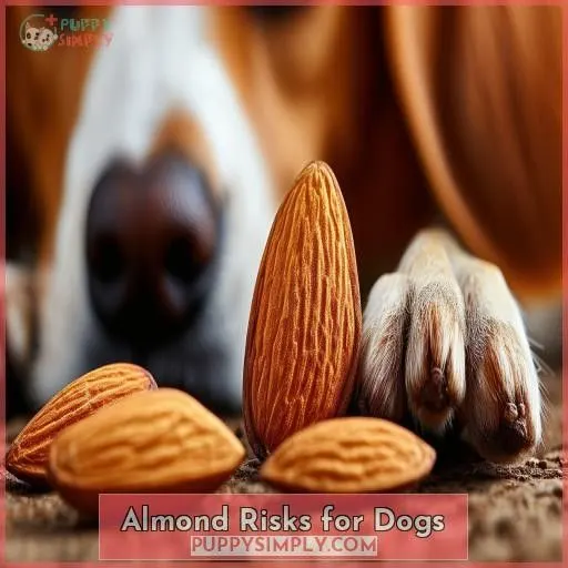 Almond Risks for Dogs