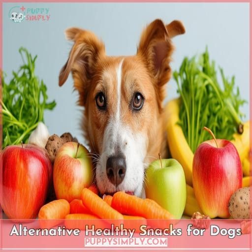 Alternative Healthy Snacks for Dogs