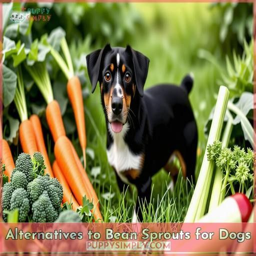 Alternatives to Bean Sprouts for Dogs