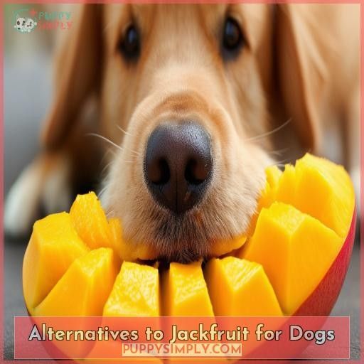 Alternatives to Jackfruit for Dogs