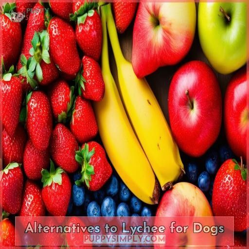 Alternatives to Lychee for Dogs