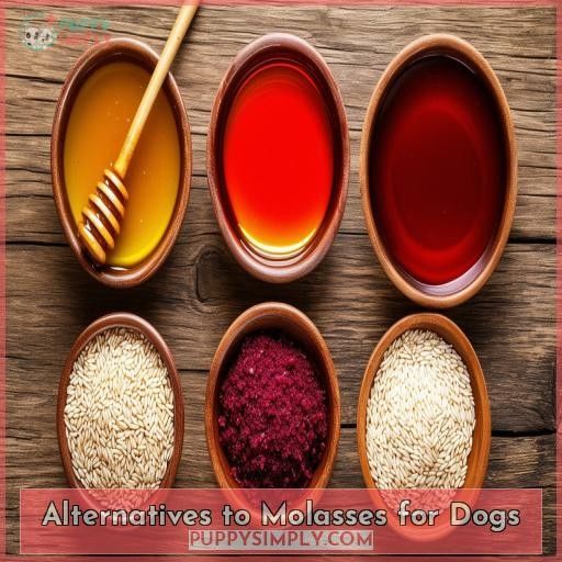Alternatives to Molasses for Dogs