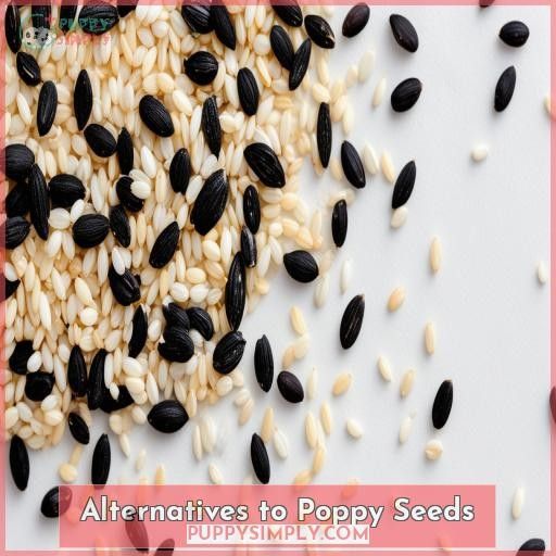 Alternatives to Poppy Seeds