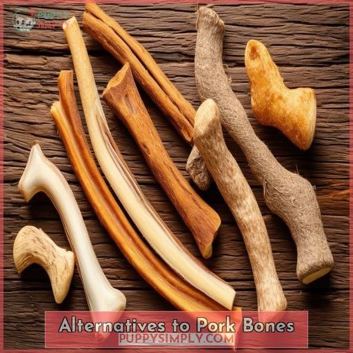 Alternatives to Pork Bones