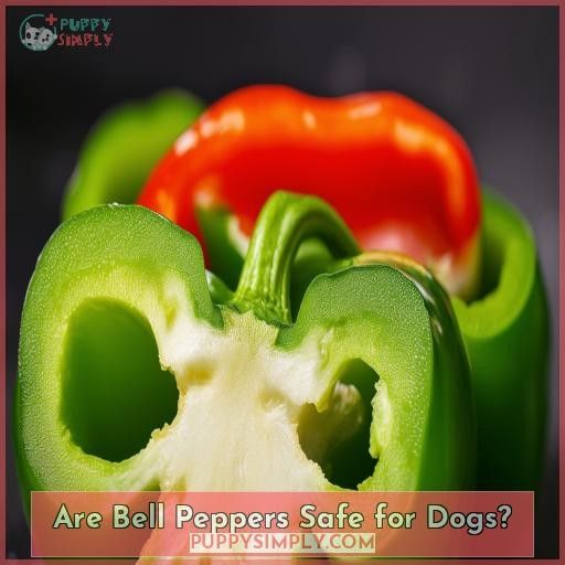 Are Bell Peppers Safe for Dogs