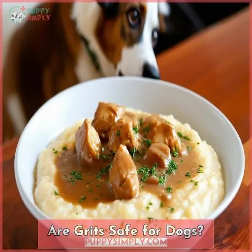Are Grits Safe for Dogs