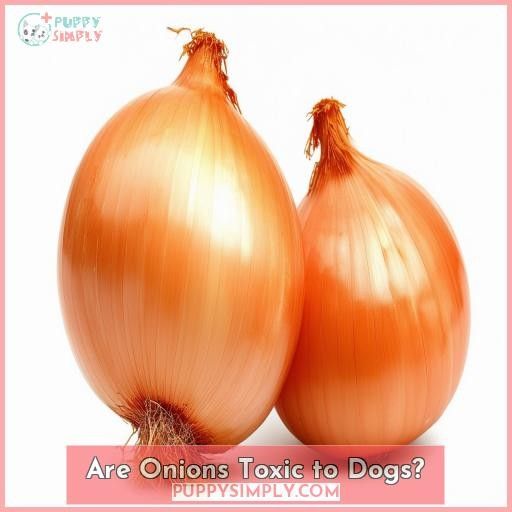 Are Onions Toxic to Dogs