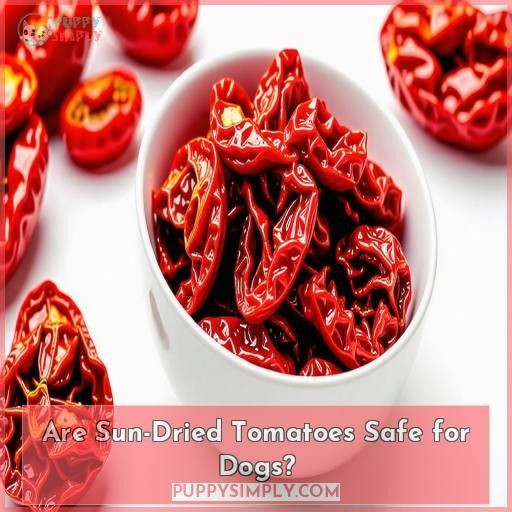 Are Sun-Dried Tomatoes Safe for Dogs