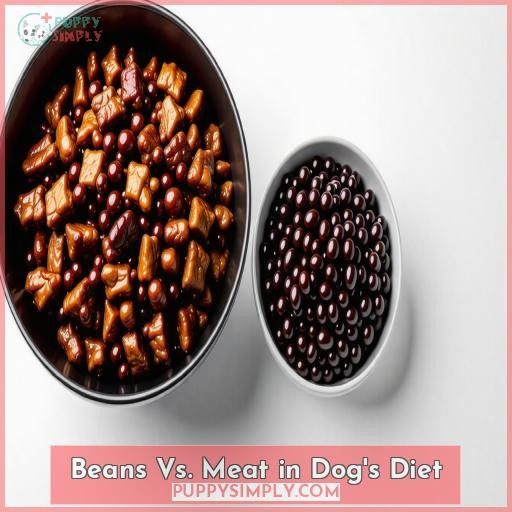 Beans Vs. Meat in Dog