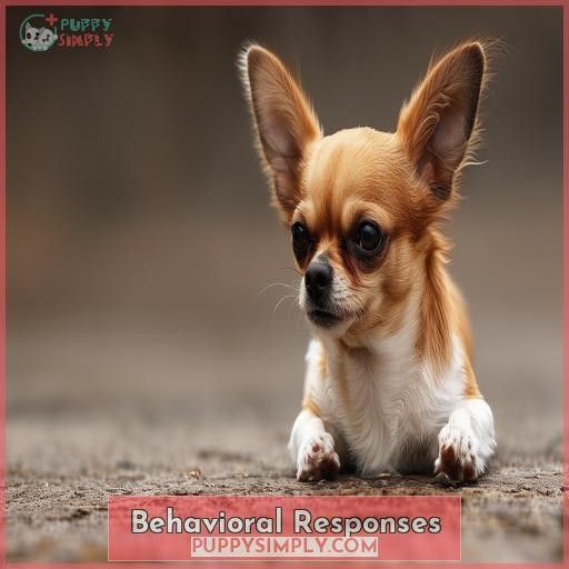 Behavioral Responses
