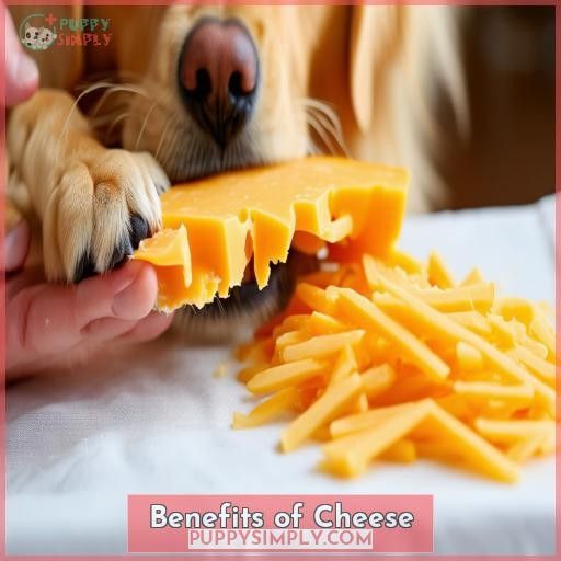 Benefits of Cheese
