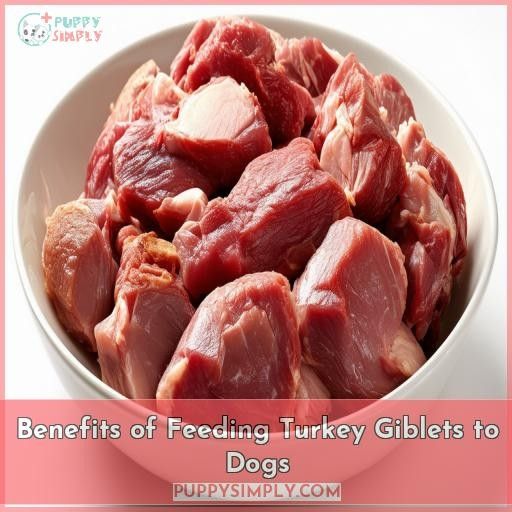 Benefits of Feeding Turkey Giblets to Dogs