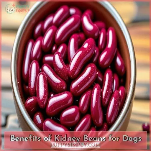 Benefits of Kidney Beans for Dogs